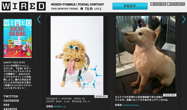WIRED＋TUMBLR VISUAL CONTEST